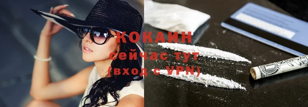 стаф Нефтегорск
