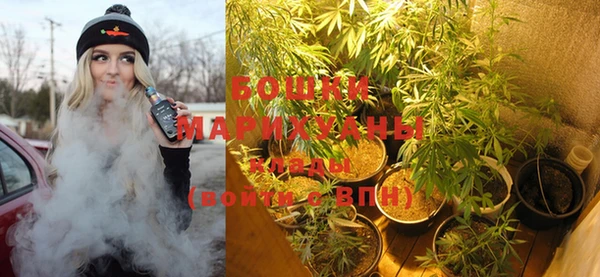 стаф Нефтегорск