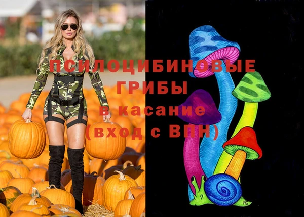 стаф Нефтегорск