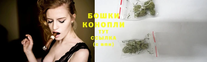 стаф Нефтегорск