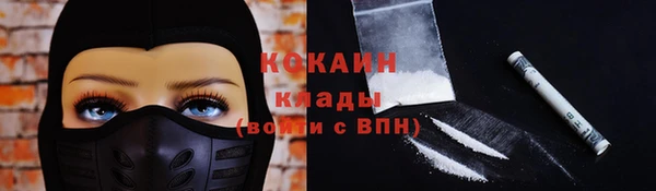 стаф Нефтегорск