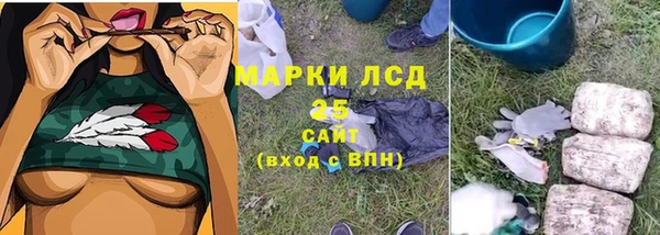 дживик Нея