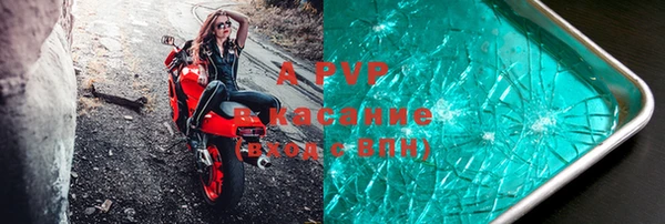 стаф Нефтегорск