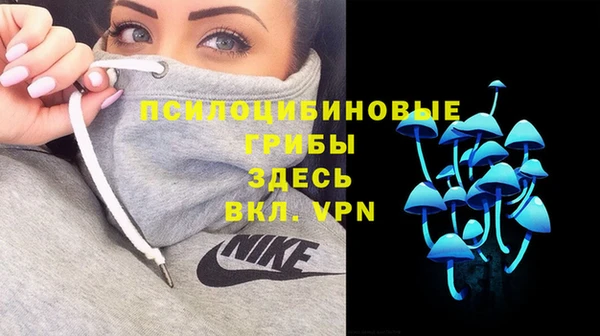 дживик Нея