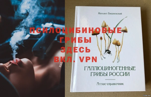 дживик Нея
