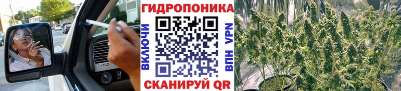 Бошки марихуана Bruce Banner  закладки  Калининец 
